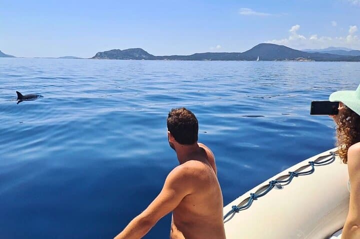 Olbia RIB Tour to Capo Figari: Dolphin Watching, Snorkeling & Cala Moresca photo 2