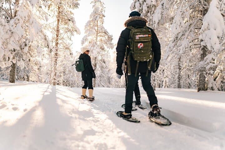 Snowshoeing in the Arctic Wilderness — Rovaniemi Guided Snowshoe Walk & Campfire