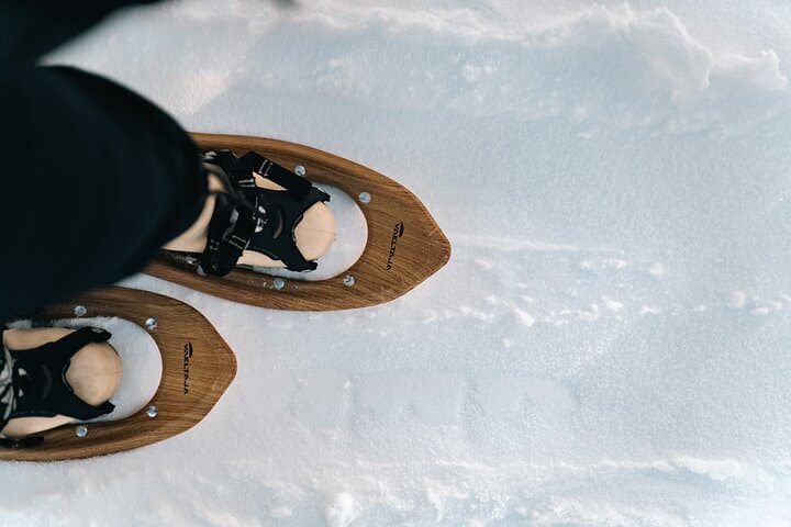 Snowshoeing in the Arctic Wilderness — Rovaniemi Guided Snowshoe Walk & Campfire photo 4