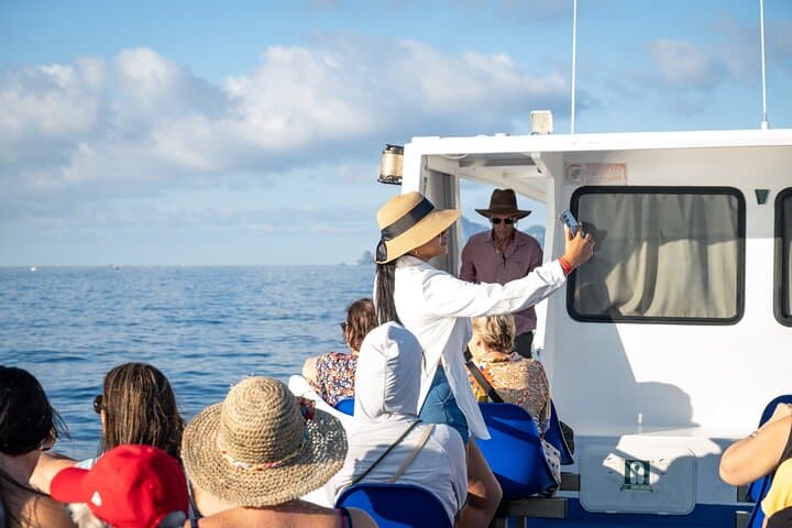 All-Inclusive Capri & Anacapri Day Trip with Blue Grotto from Sorrento photo 4