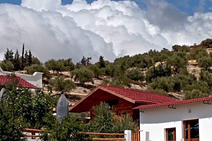 Oudhna & Testour Roman Ruins and Olive Oil Tasting Day Tour from Tunis photo 1