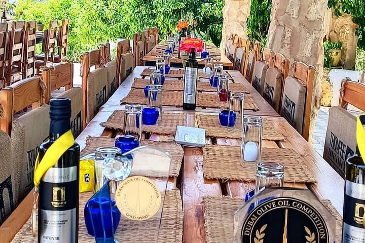 Oudhna & Testour Roman Ruins and Olive Oil Tasting Day Tour from Tunis photo 4