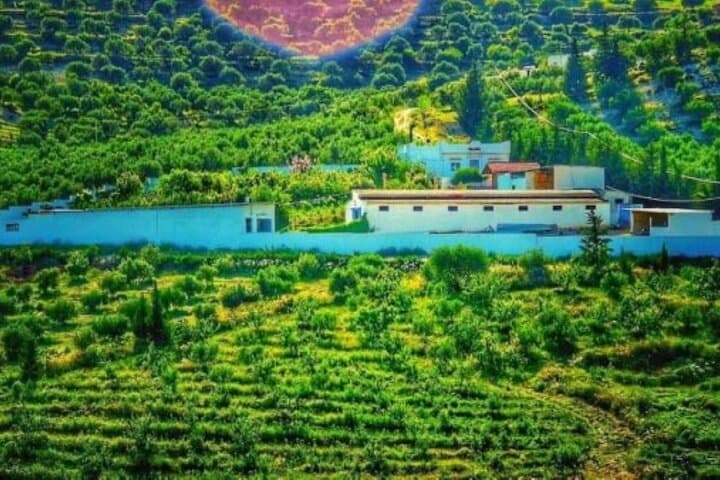 Oudhna & Testour Roman Ruins and Olive Oil Tasting Day Tour from Tunis photo 2