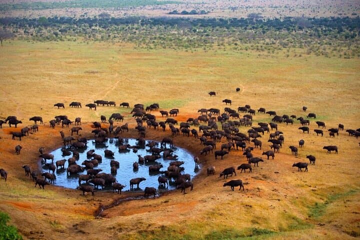 3-Day Tsavo Safari: East & West from Diani or Mombasa photo 2