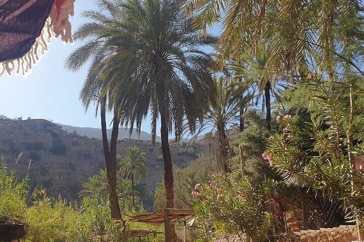 Paradise Valley Day Trip — Anti-Atlas Oasis Hike & Swimming from Agadir photo 2
