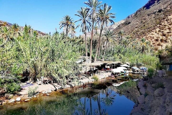 Paradise Valley Day Trip — Anti-Atlas Oasis Hike & Swimming from Agadir photo 3