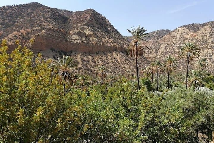 Paradise Valley Day Trip — Anti-Atlas Oasis Hike & Swimming from Agadir photo 4