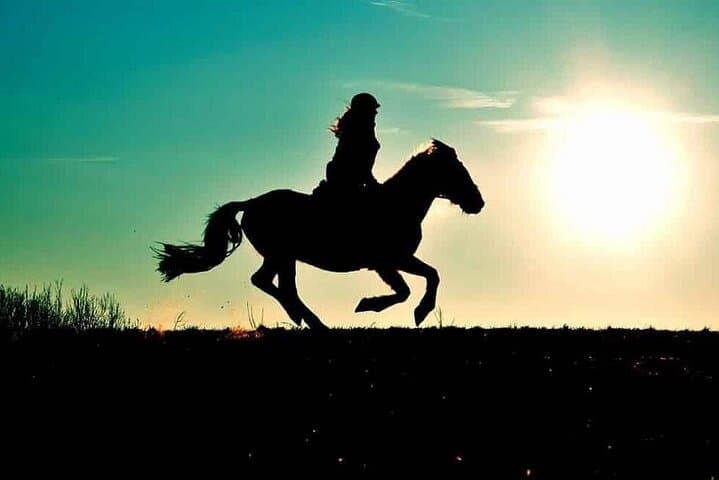 Horseback Riding at Souss-Massa Near Agadir — Sunset Rides & Berber Barbecue photo 2