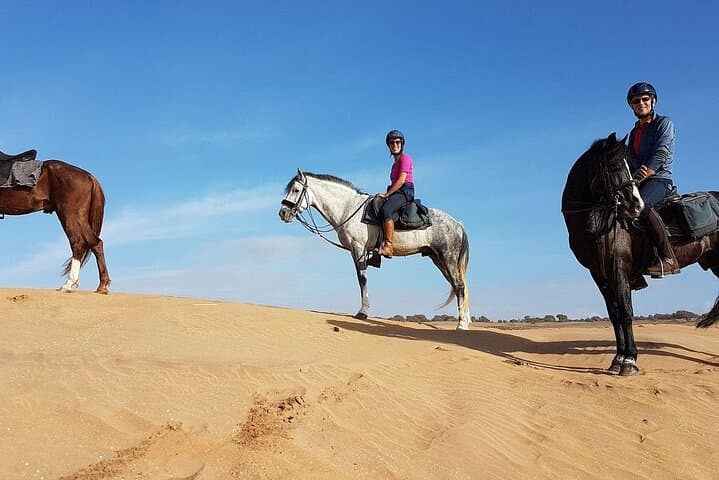 Horseback Riding at Souss-Massa Near Agadir — Sunset Rides & Berber Barbecue