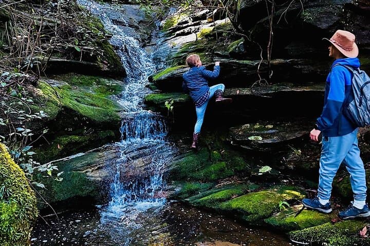 Trek, Shoot and Soothe: Blue Mountains Guided Hiking & Photography Tour from Springwood