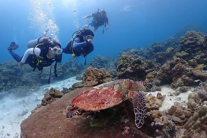 Racha Islands Scuba Diving from Phuket: Day Trips for All Levels photo 3