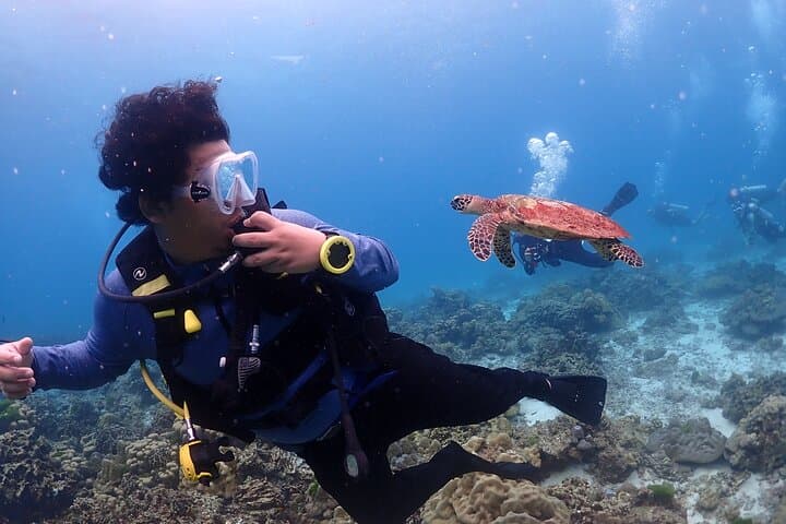Racha Islands Scuba Diving from Phuket: Day Trips for All Levels