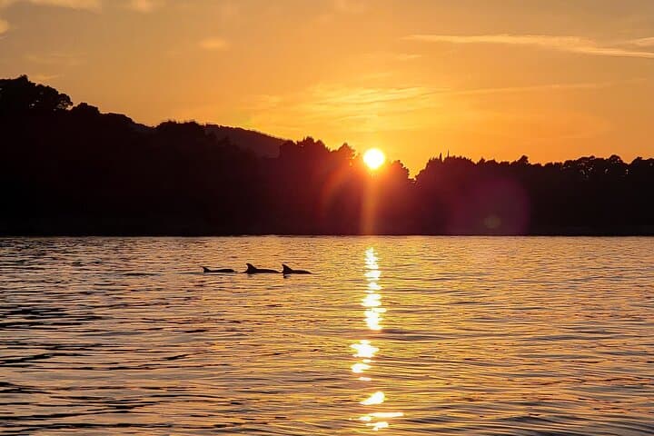 Private 6-Hour Elaphiti Islands Boat Tour from Dubrovnik photo 5