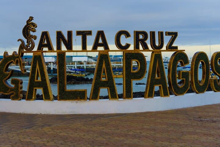 5-Day Galapagos Highlights: Island Hopping from Puerto Ayora photo 5