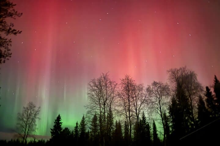 Guaranteed Northern Lights Tour in Rovaniemi — Small-Group Aurora Chase photo 4