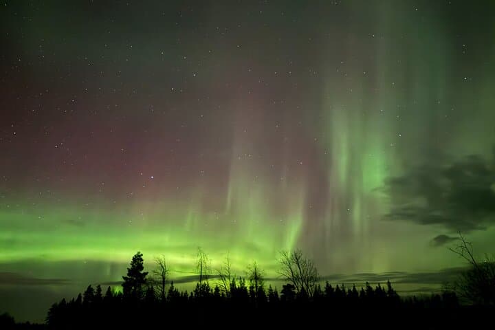 Private Northern Lights Chase from Rovaniemi — Aurora Photography & Wilderness Night Drive photo 2