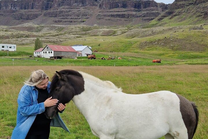 Private Farm Visit & Silver Circle Day Tour — West Iceland Day Trip from Reykjavík photo 6