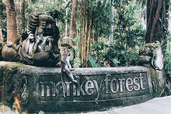 Ubud All-Inclusive Private Guide Tour — Monkey Forest, Tegalalang Rice Terraces & Jungle Swing photo 4
