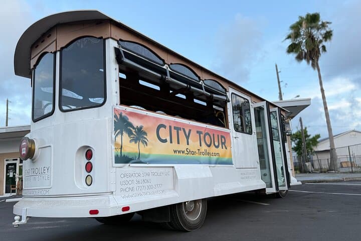 St. Petersburg Ultimate All-in-One City Trolley Tour: History, Murals & Bayfront Views photo 3