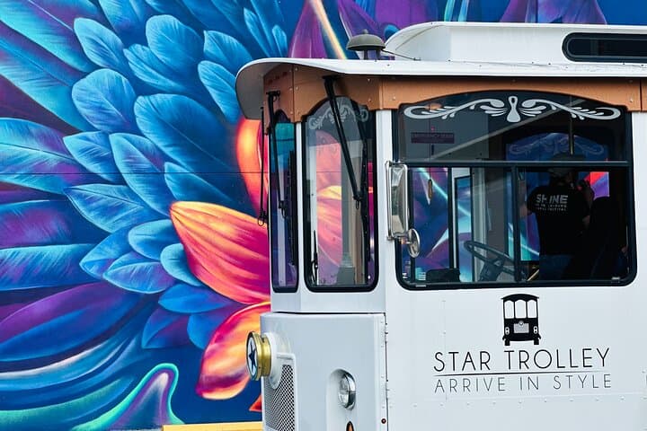 St. Petersburg Ultimate All-in-One City Trolley Tour: History, Murals & Bayfront Views photo 6