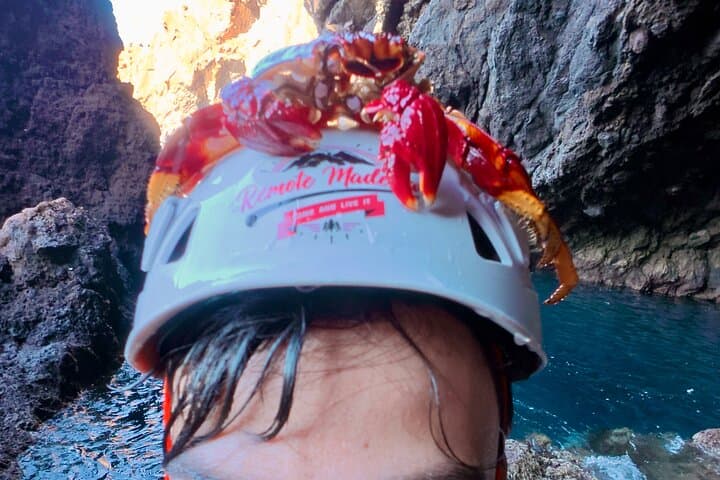 Coasteering & Snorkeling Along Madeira's Cliffs — From Funchal photo 4