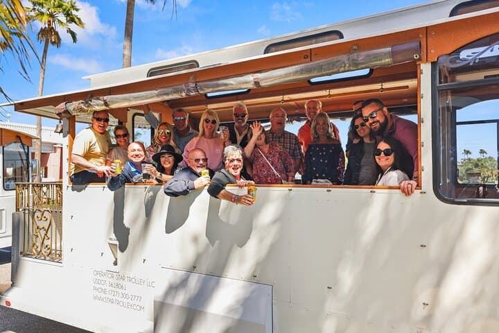 St. Petersburg Ultimate All-in-One City Trolley Tour: History, Murals & Bayfront Views photo 2