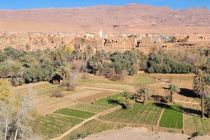 Marrakech to Sahara: 8-Day Imperial Cities, Atlas Passes & Erg Chebbi Desert Tour photo 3
