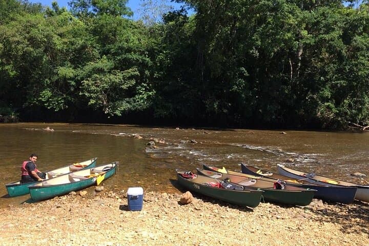 Canoe the Belize River: Macal & Mopan Wildlife Paddle from San Ignacio photo 5