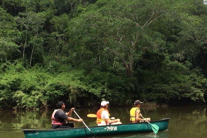 Canoe the Belize River: Macal & Mopan Wildlife Paddle from San Ignacio photo 3