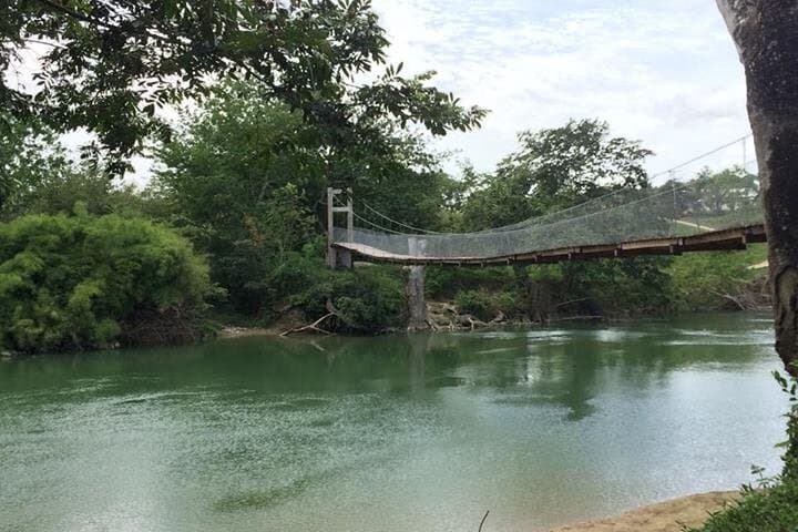 Canoe the Belize River: Macal & Mopan Wildlife Paddle from San Ignacio photo 6