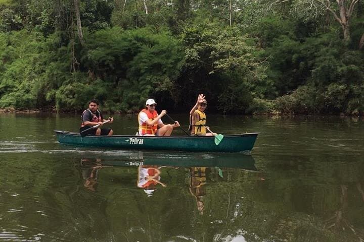 Canoe the Belize River: Macal & Mopan Wildlife Paddle from San Ignacio