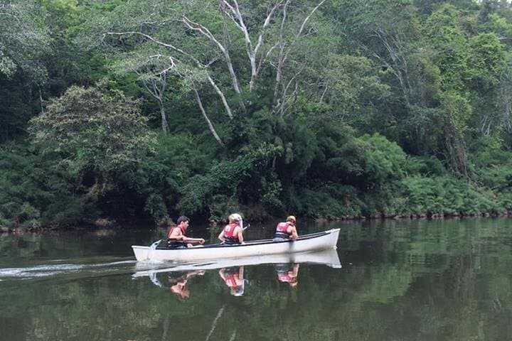 Canoe the Belize River: Macal & Mopan Wildlife Paddle from San Ignacio photo 4