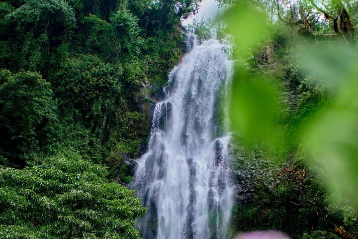 Materuni Waterfalls, Coffee & Chemka Hot Springs Day Tour from Moshi photo 4