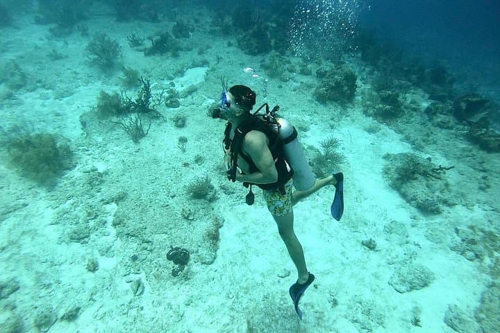 Riviera Maya Scuba Diving from Puerto Aventuras: Small-Group Reef Dives with Sea Turtles photo 1