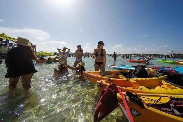 Miami Biscayne Bay Boat Tour with Sandbar & Raccoon Island Experience photo 4