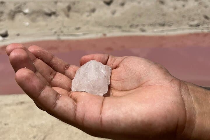 Tulum to Las Coloradas & Río Lagartos: Pink Lagoons, Flamingos & Mud Bath Day Trip photo 2