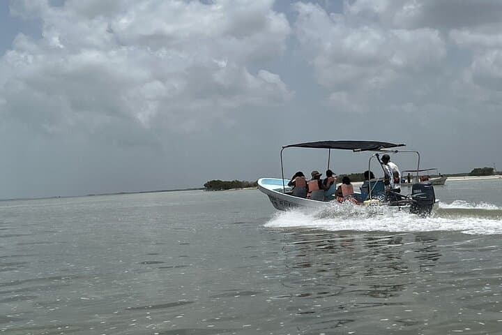 Tulum to Las Coloradas & Río Lagartos: Pink Lagoons, Flamingos & Mud Bath Day Trip photo 6