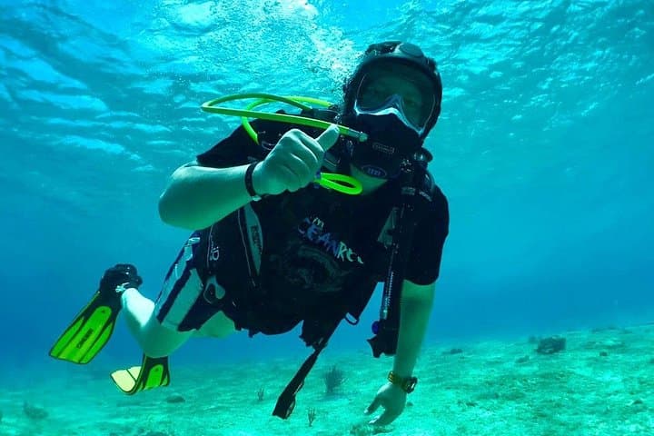 Riviera Maya Scuba Diving from Puerto Aventuras: Small-Group Reef Dives with Sea Turtles photo 2