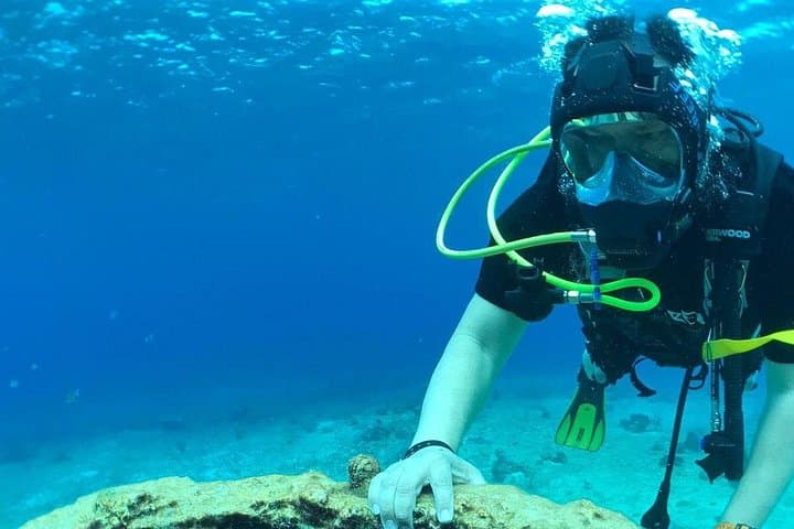 Riviera Maya Scuba Diving from Puerto Aventuras: Small-Group Reef Dives with Sea Turtles photo 3