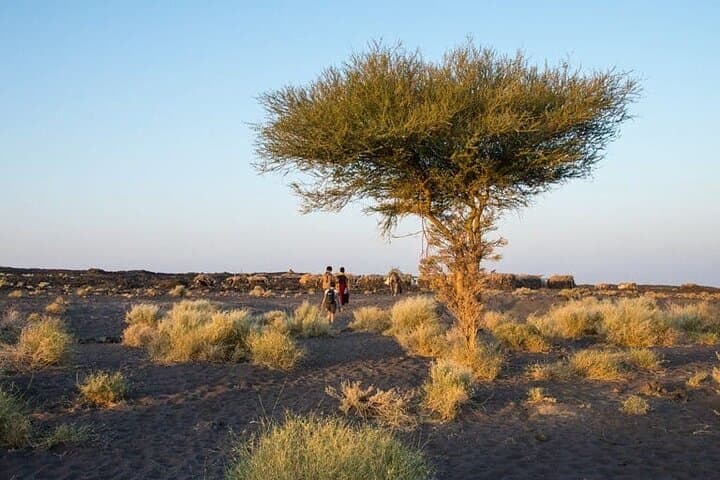 7-Day Erta Ale Volcano & Dallol Tour: Lava Lakes, Salt Flats, and Tigray Rock Churches photo 2
