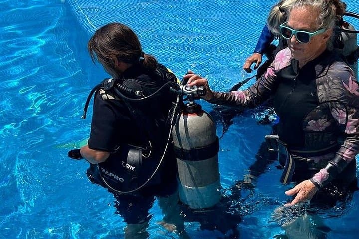 Personalized Snorkeling & Diving in Riviera Maya — Puerto Aventuras Small-Group Marine Tours photo 5