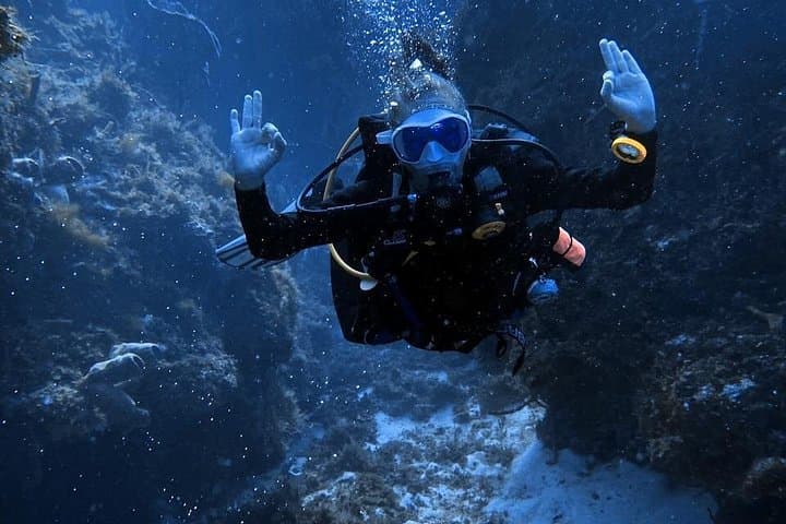 Personalized Snorkeling & Diving in Riviera Maya — Puerto Aventuras Small-Group Marine Tours photo 4