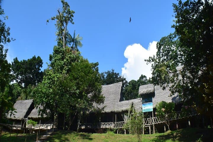 4-Day Amazon Expedition from Iquitos: Dolphins, Piranha Fishing & Jungle Lodge photo 1