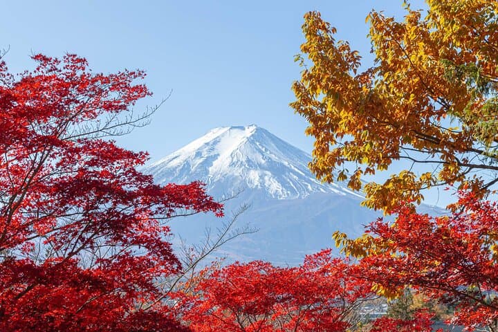Day Trip to Mt. Fuji: Oshino Hakkai, 5th Station & Gotemba Outlets photo 5