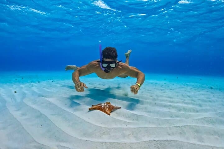 Cozumel Snorkel Day Trip: El Cielo, Palancar & Colombia Reefs
