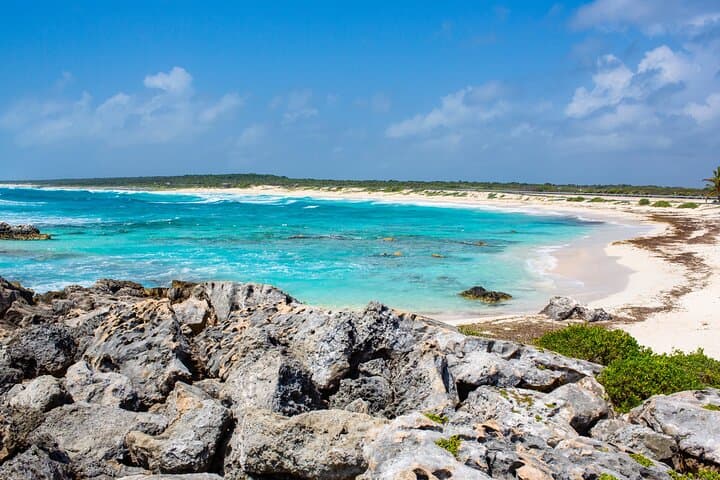 Cozumel Snorkel Day Trip: El Cielo, Palancar & Colombia Reefs photo 6