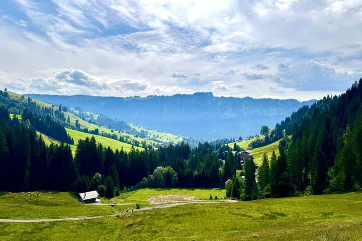 Habkern E‑Bike Cheese Tour from Interlaken — Alpine Ride and Farm Tasting photo 4