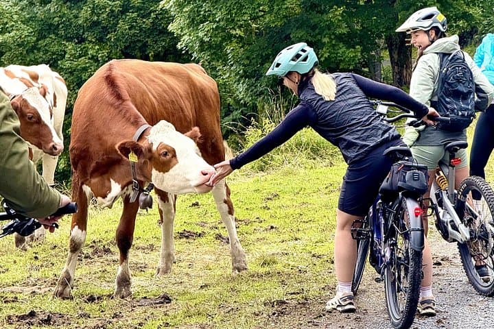 Habkern E‑Bike Cheese Tour from Interlaken — Alpine Ride and Farm Tasting photo 3