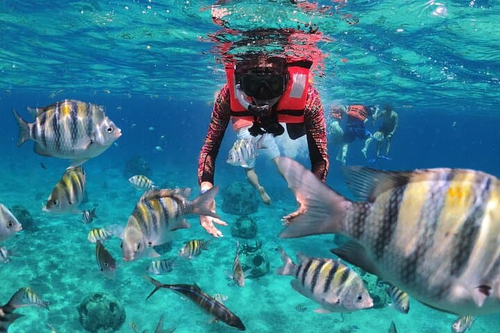 Transparent-Boat and Snorkel Adventure in Cozumel