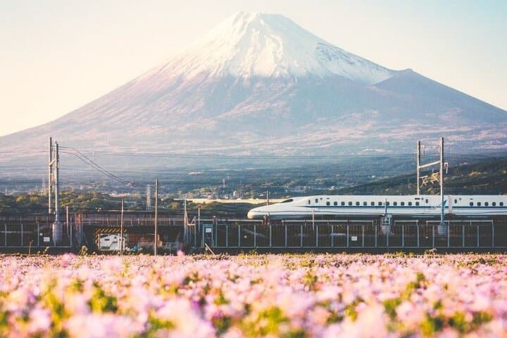 Tokyo to Mount Fuji Private Guided Experience — Custom Day Trips from Tokyo